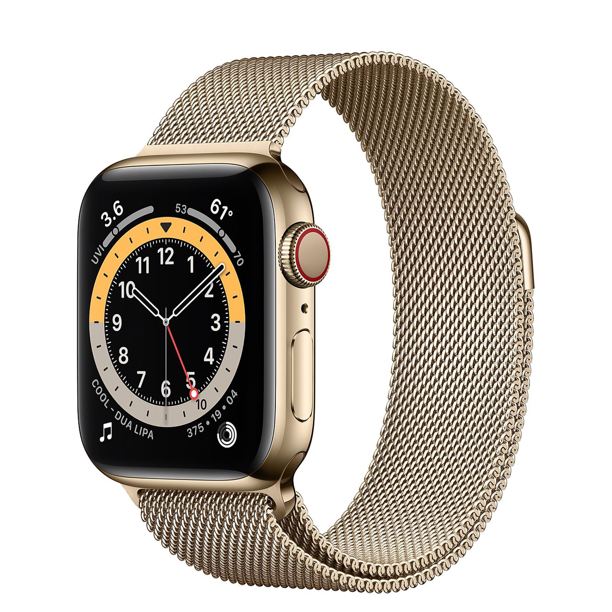 Apple Watch Series 6 Gold Stainless Steel Case With Gold Milanese Loop 